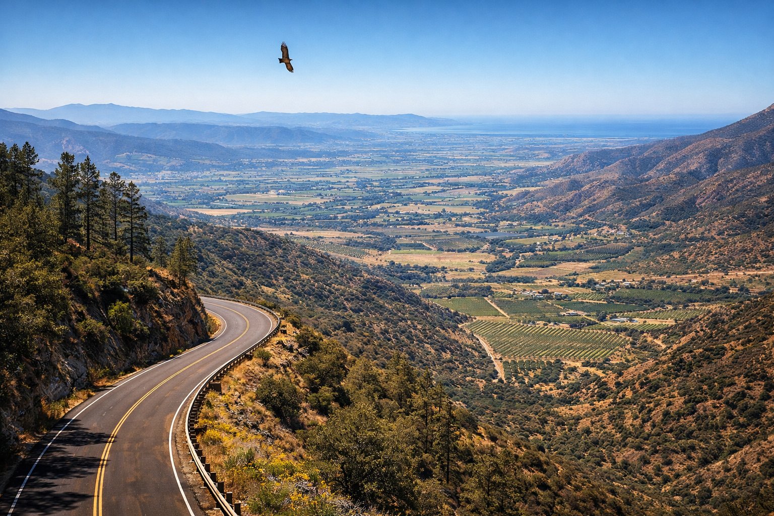 Winter morning fog on a Baja California trail with coyote and dew-covered spiderwebs at sunrise